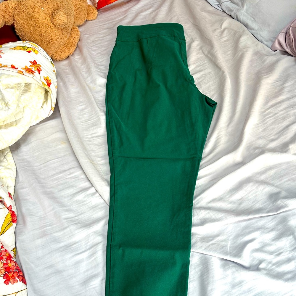 Beautiful Green Colored Pants